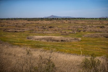 Parque Nacional de las Tablas de Daimiel