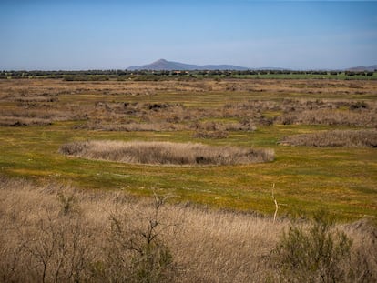 Las lagunas vacías desde el observatorio de Torre de Prado ancho.