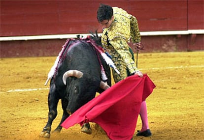 Francisco José Palazón, con el segundo toro de la tarde, ayer en Valencia.