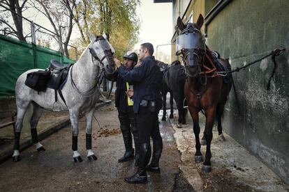 Los caballos también llevan viseras y protecciones especiales para evitar que sean atacados durante el patrullaje.