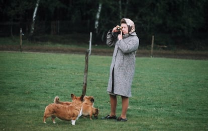 <p>Pese a la cercanía de Lisa Sheridan con la reina, Anwar Hussein se convirtió en el fotógrafo que más años ha dedicado a fotografiar a Isabel II y a su familia. Esta imagen, tomada en Windsor Park en 1960, es la quintaesencia de su estilo: estética impecable, costumbrismo y un punto de humor. Es la inspiración directa para muchas de las secuencias de exterior de <em>The Queen</em> (Stephen Frears, 2006).</p>