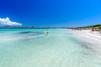 La única playa española más votada por los usuarios de TripAdvisor se encuentra en Mallorca. Situada en la bahía de Alcúdia, su finísima arena blanca, su moderado oleaje y sus aguas someras (se tienen que andar bastantes metros hasta que se deja de hacer pie) la hace muy atractiva para las familias. A sus espaldas se extiende un sistema dunar y una gran red de senderos salpicados por bosques. <br></br> Más información: infomallorca.net