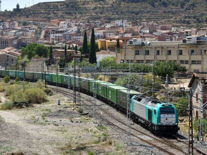 Un tren de mercancías de Transfesa a su paso por Ascó. 