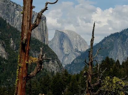 La sequía que asola California desde hace cuatro años está afectando al Parque Nacional de Yosemite, una de las maravillas naturales de EE UU.