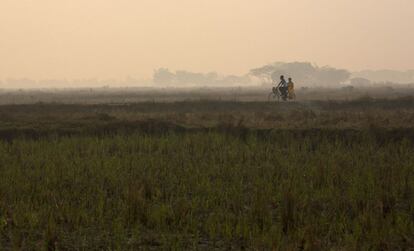 Una pareja pasea en bicicleta a través de campos de arroz al amanecer en Dala (Myanmar).