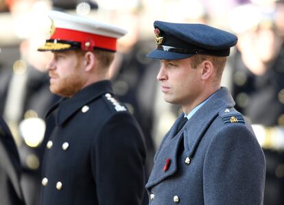 Principe Enrique y el principe Guillermo