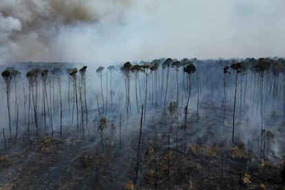 El fenómeno meteorológico conocido como ‘El Niño’, que ha alterado los valores de las temperaturas.  