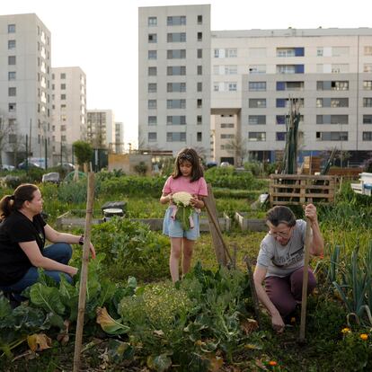 Un grupo de vecinos de Zabalgana trabaja en la huerta del barrio