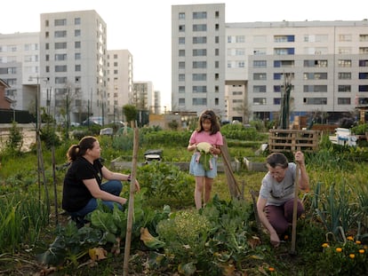 Un grupo de vecinos de Zabalgana trabaja en la huerta del barrio