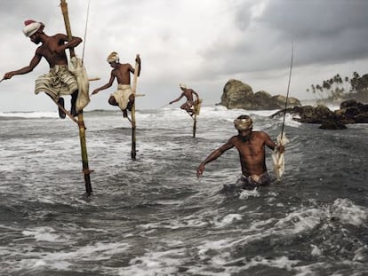 Pescadores en la Costa Sur de Sri Lanka, en  Weligama. Subidos a postes de madera de tres o cuatro metros y con una barra perpendicular,  denominada &lsquo;petta&rsquo;, en la que se sientan, pescan arenques y caballas. 