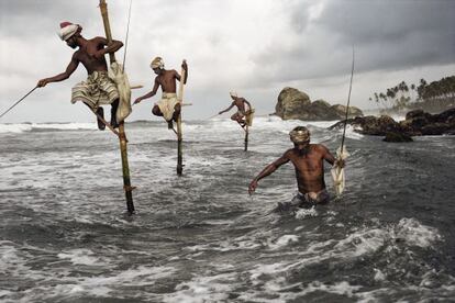 Pescadores en la Costa Sur de Sri Lanka, en  Weligama. Subidos a postes de madera de tres o cuatro metros y con una barra perpendicular,  denominada &lsquo;petta&rsquo;, en la que se sientan, pescan arenques y caballas. 