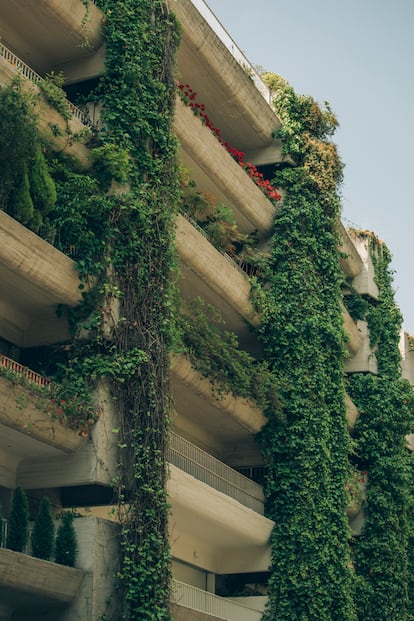 El edificio del arquitecto Fernando Higueras en la glorieta de Ruiz Giménez de Madrid, donde se encuentra el piso reformado por Inés Esnal para sus padres, pensando en su edad avanzada. No solo es un vergel hacia la calle, ya que también se disfruta de su vegetación desde el interior.