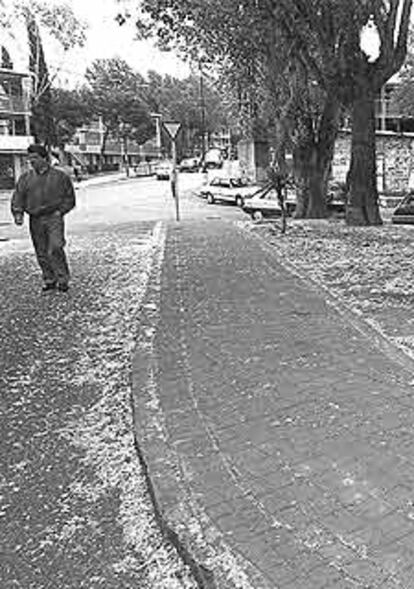 Una calle del barrio de Hortaleza (Madrid) con polen de álamo negro.