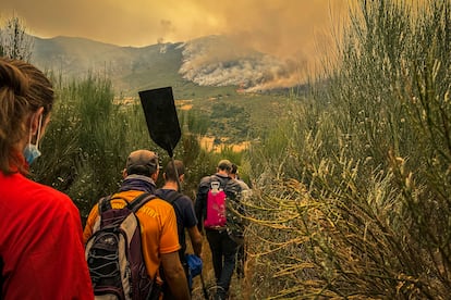 La primera parte del camino que lleva a los voluntarios a las llamas.