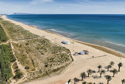 La playa de L'Ahuir, en Gandia (Valencia), cuenta con un sector naturista y con otro para bañistas con mascotas.