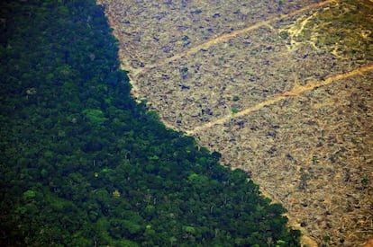 El investigador David Edawards recuerda que los incendios en la cuenca amazónica son especialmente graves cuando ocurre El Niño, un fenómeno meteorológico natural y cíclico, vinculado a un incremento de las temperaturas en la parte oriental del Pacífico tropical. Los 70.625 focos registrados en 2016 coincidieron con un evento de El Niño potente. Este año, sin embargo, el fenómeno es débil y, pese a ello, se han detectado más incendios. En la imagen, vista aéra de la defoerestación provocada por los incendios a 65 km de Porto Velho (Brazil), el 23 de agosto.