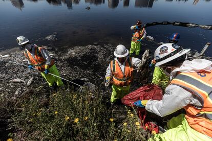 Trabajadores del Ayuntamiento de Oakland limpian toneladas de peces muertos en el Lago Merritt, el 31 de agosto de 2022. La presencia de algas es normal durante el verano, pero lo que ha sorprendido ahora es la magnitud del fenómeno. 