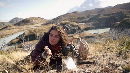 Giuliana Furci inspecciona un hongo en el parque nacional Torres del Paine (Chile).