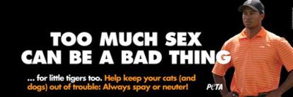 El cartel de la nueva campaña de PETA con Tiger Woods como protagonista.