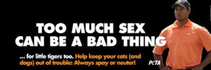 El cartel de la nueva campaña de PETA con Tiger Woods como protagonista.