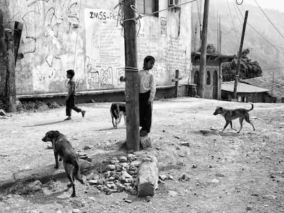 Un niño juega con los perros en la comunidad de San Miguel, en la parte alta de la montaña de Guerrero.