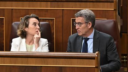 La secretaria general del PP, Cuca Gamarra, y el líder popular, Alberto Núñez Feijóo, durante el pleno del Congreso este jueves en Madrid.