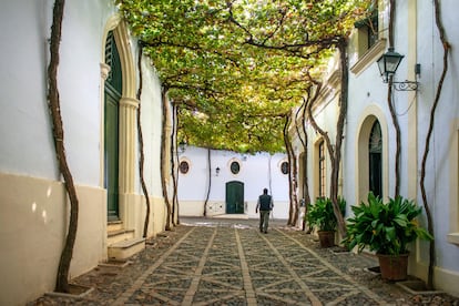 Vista de la calle Ciegos, dentro de las Bodegas Tío Pepe - González Byass en Jerez de la Frontera (Cádiz).