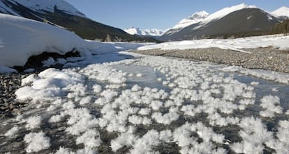 Flores de hielo en un un arroyo helado de Graveyard Flats, un valle de las Montañas canadienses.