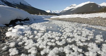 Flores de hielo en un un arroyo helado de Graveyard Flats, un valle de las Monta&ntilde;as canadienses.