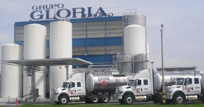 Varios camiones del grupo Gloria junto a una de sus factorías.