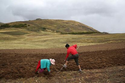 "Este tipo de cambios, tanto al agricultor como al ganadero, les lleva efectivamente a repensar y analizar de mejor manera el cambio climático y su afectación en sus medios de vida", comenta Romero. En la imagen, dos campesinos realizan trabajos de volteo a la tierra de cultivo.