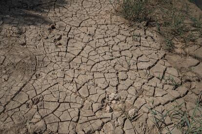 Las causas principales por las que se está secando el Jordán son el calentamiento global, la mala gestión de los recursos hídricos de la zona por parte de las administraciones y el conflicto árabe-israelí. Estos tres factores están causando una sequía cada vez más aguda en la zona, así como en el Mar Muerto y en el Valle del Jordán. El año pasado, las reservas de agua de Jordania descendieron a niveles realmente bajos debido a la escasez de lluvia, llegando a registrar un almacenamiento de 80 millones de metros cúbicos menos que en años anteriores. La lucha palestino-israelí por el agua del río, mediante sistemas de presas y desvíos del cauce, han acabado afectando a Jordania con dureza. Actualmente, solo una pequeña parte del caudal que históricamente llegaba hasta el Mar Muerto sigue viva. 