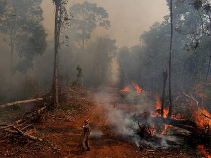 Incêndio na floresta na cidade União do Sul, em Mato Grosso, no dia 4 de setembro.