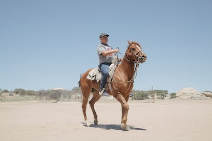 En el centro los internos cuidan de los animales de granja como parte de su rehabilitación. Muchos de ellos aprenden a montar a caballo.