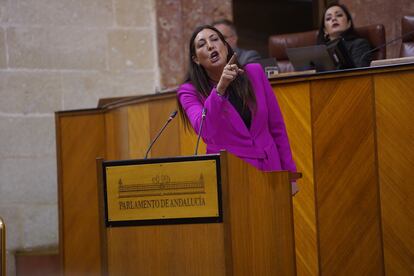 La consejera de Integración Social, Juventud e Igualdad de oportunidades de la Junta de Andalucía, Loles López, durante su intervención en el pleno del Parlamento de Andalucía en el Día de la Mujer.