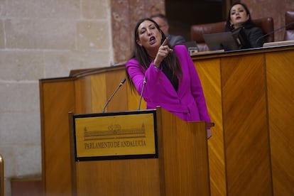 La consejera de Integración Social, Juventud e Igualdad de oportunidades de la Junta de Andalucía, Loles López, durante su intervención en el pleno del Parlamento de Andalucía en el Día de la Mujer.