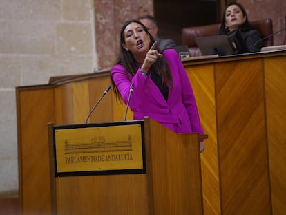 La consejera de Integración Social, Juventud e Igualdad de oportunidades de la Junta de Andalucía, Loles López, durante su intervención en el pleno del Parlamento de Andalucía en el Día de la Mujer.