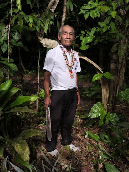 El abuelo Celestino Ramos Manuel, médico tradicional tikuna de la comunidad de Nazaret, Leticia. En una caminata por el bosque, Celestino identifica decenas de plantas medicinales. Describe a los chachakuna como "mujercitas chiquitas invisibles que se meten en el cuerpo de uno".