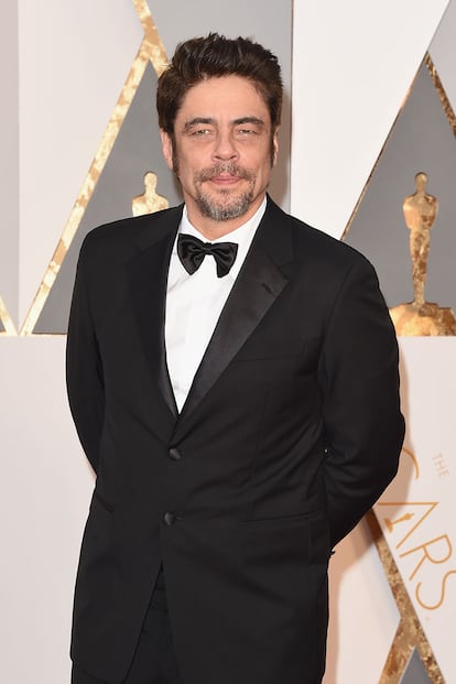 El actor Benicio del Toro.