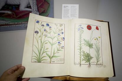 'Libro de los medicamentos simples', presente en la exposición 'M.Moleiro. El Arte de la Perfección'.