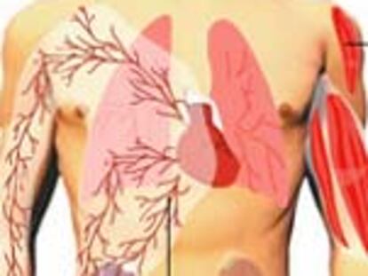 El Tribunal de Arbitraje del Deporte confirma la sanción de dos años a Johann Muehlegg