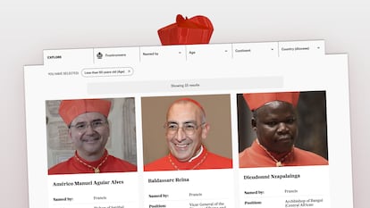 Who’s who in the conclave: The 133 cardinals who will elect the new pope
