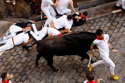 A runner next to one of Domingo Hernández's bulls, during the fifth running of the bulls of San Fermín. 
