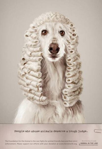 ONG Foundation Animal in the Law. "La gente que abusa de los animales merece un juez duro". Agencia Ruf Lanz, Suiza.