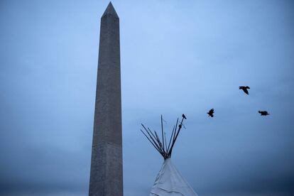 Varios pájaros aterrizan en un tipi, durante la protesta de Naciones Nativas, cerca del monumento de Washington, en Washington DC (EE UU).