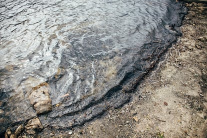 Detalle del agua del embalse gallego, que de forma recurrente sufre episodios de contaminación por cianobacterias.