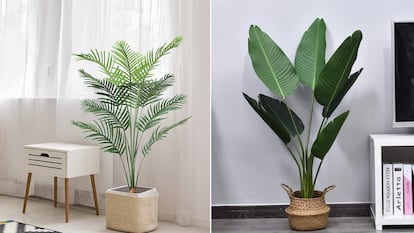 Colocadas en un rincón del salón, las plantas pueden conseguir un ambiente agradable y estiloso.