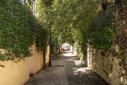 Una calle de la colonia.