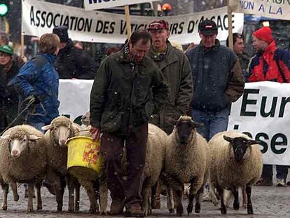 Granjeros alemanes y franceses, en una manifestación ante la sede del Parlamento Europeo, en Estrasburgo.