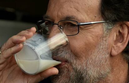 Mariano Rajoy bebe un vaso de leche durante su visita a una granja de productos lácteos en San Martín de Podes, Asturias.